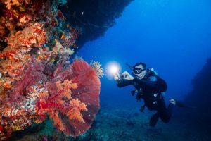 fiji-diving-spirit-liveaboards-1