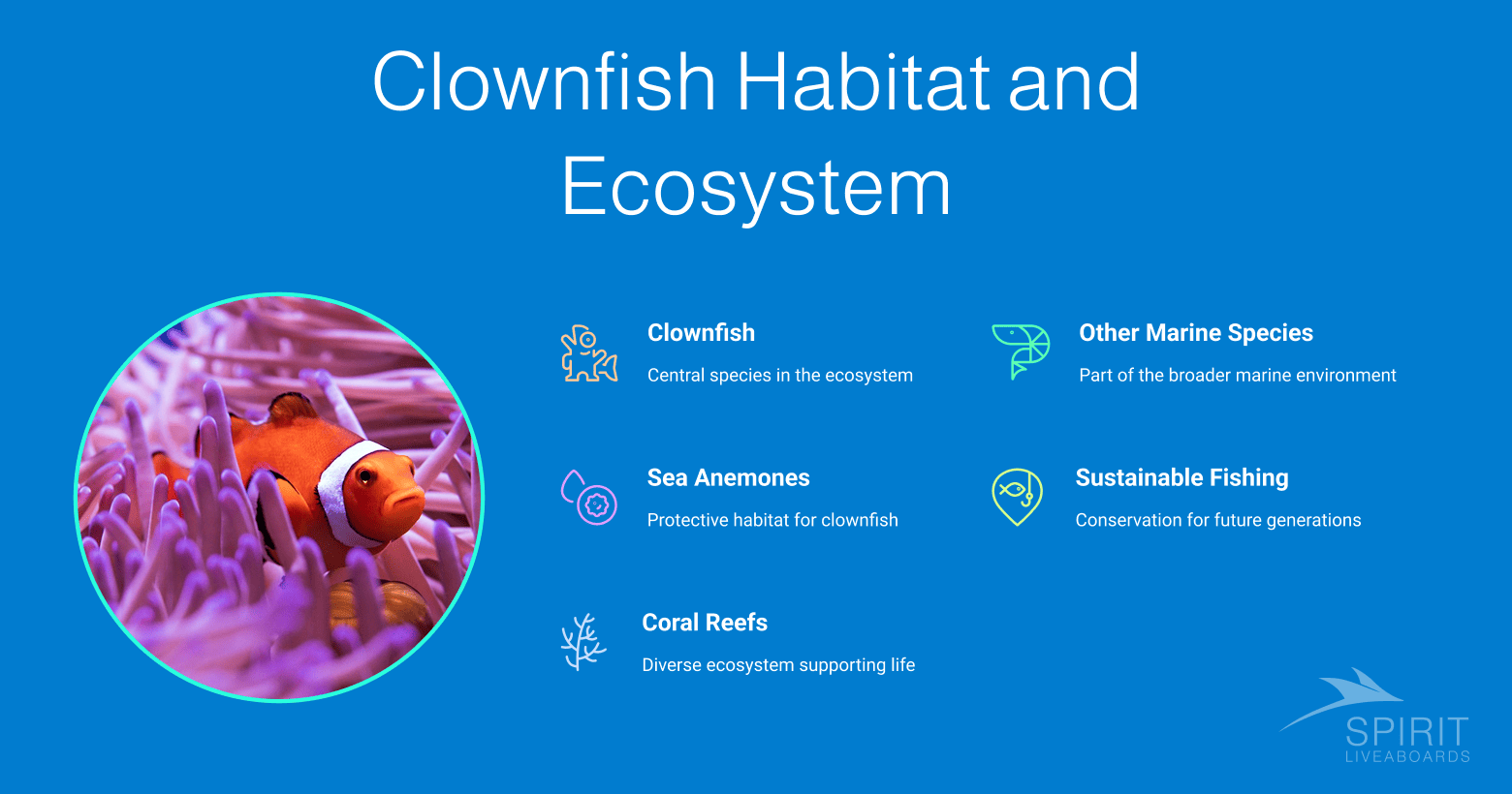 Infographic about Clownfish Habitat and Ecosystem, showing a clownfish in a sea anemone and listing clownfish, sea anemones, coral reefs, other marine species, and sustainable fishing.