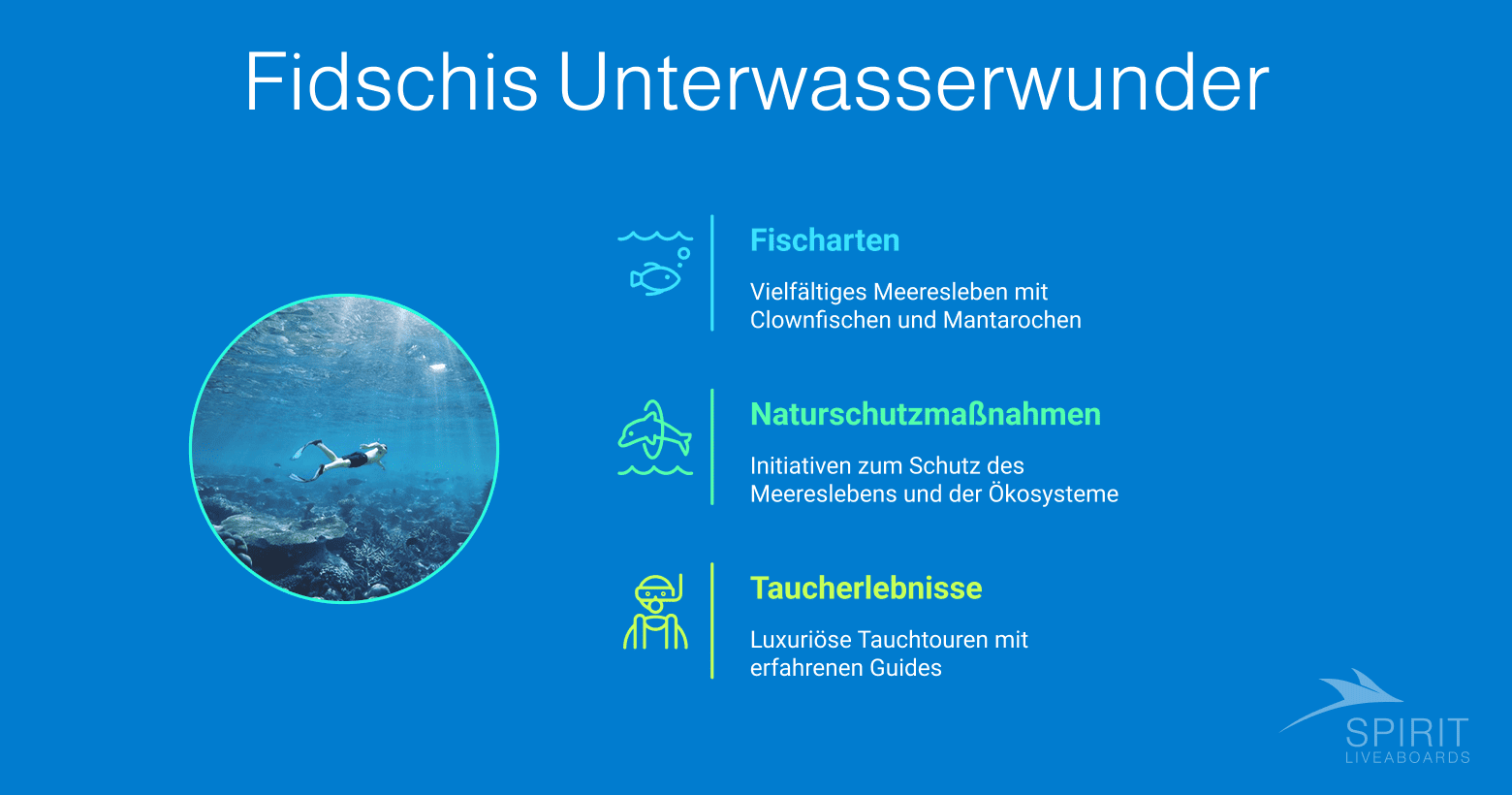 Infografik über Fidschis Unterwasserwunder, die vielfältige Meereslebewesen, Naturschutzbemühungen und luxuriöse Taucherlebnisse hervorhebt.