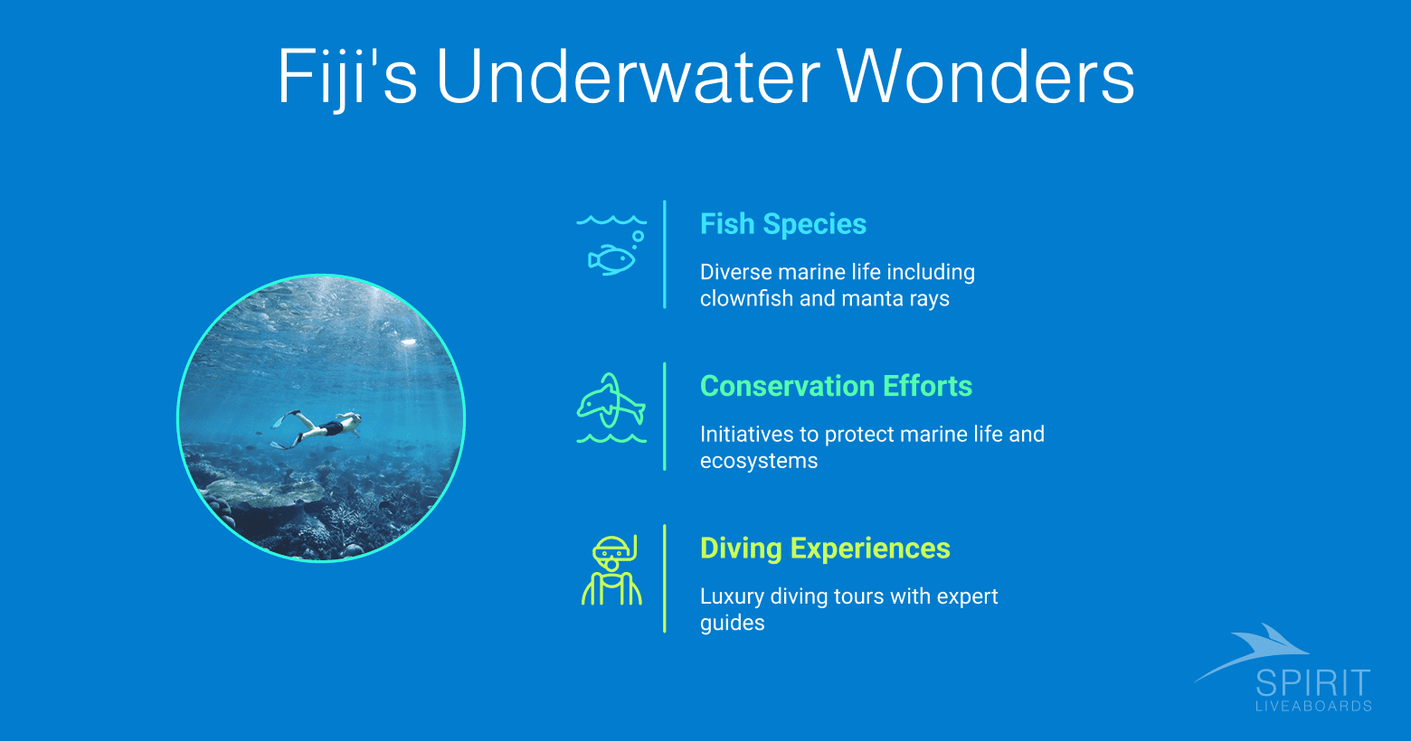 Infographic about Fiji's Underwater Wonders, highlighting diverse marine life, conservation efforts, and luxury diving experiences.