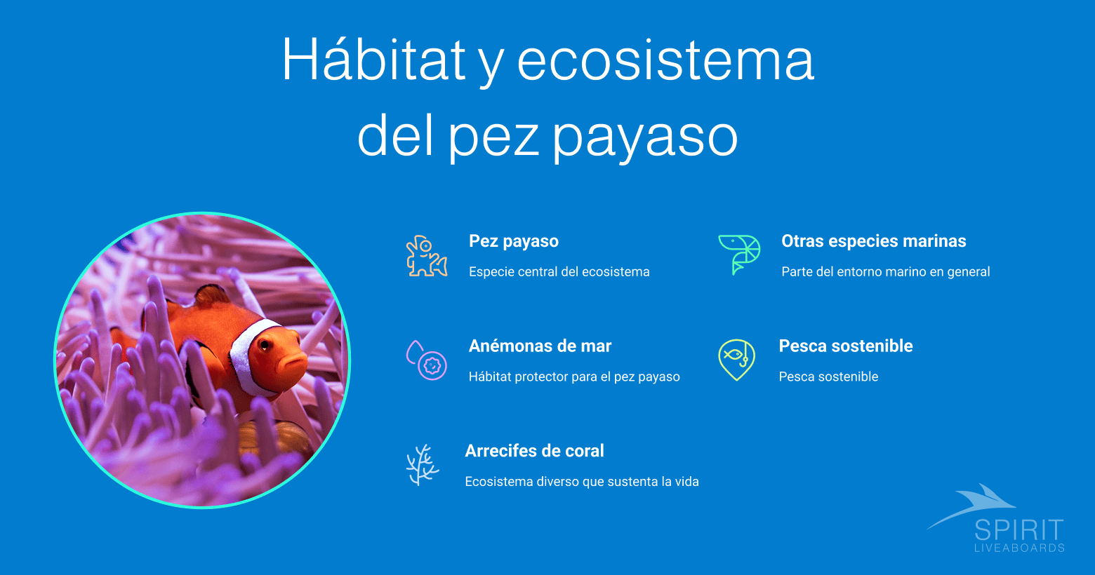 Infografía sobre el Hábitat y ecosistema del pez payaso, mostrando un pez payaso en una anémona de mar y listando pez payaso, anémonas de mar, arrecifes de coral, otras especies marinas y pesca sostenible.