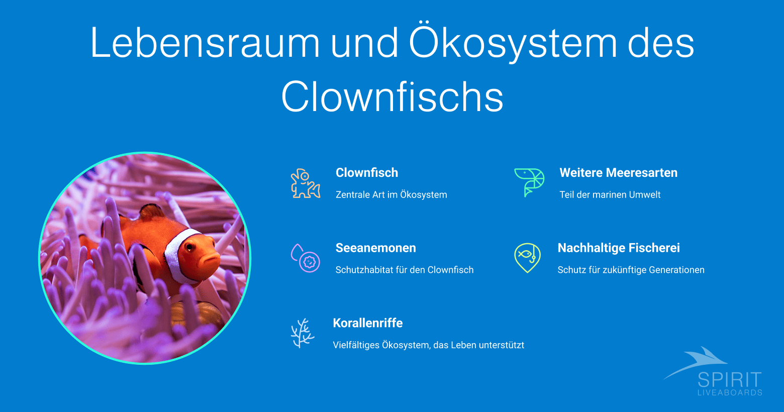 Infografik über Lebensraum und Ökosystem des Clownfischs, zeigt einen Clownfisch in einer Seeanemone und listet Clownfisch, Seeanemonen, Korallenriffe, weitere Meeresarten und nachhaltige Fischerei auf.
