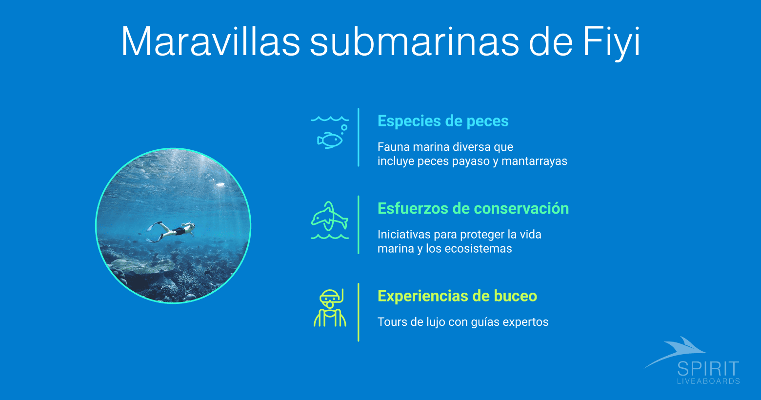 Infografía sobre las Maravillas Submarinas de Fiyi, que destaca la diversidad de la vida marina, los esfuerzos de conservación y las experiencias de buceo de lujo.