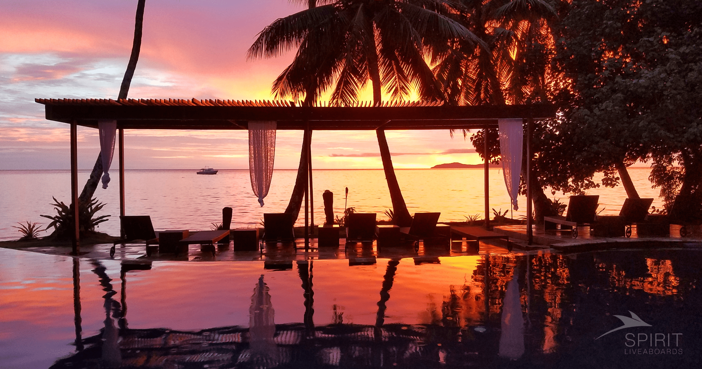 How Much Does it Cost to Swim with Manta Rays in Fiji: Top Spots