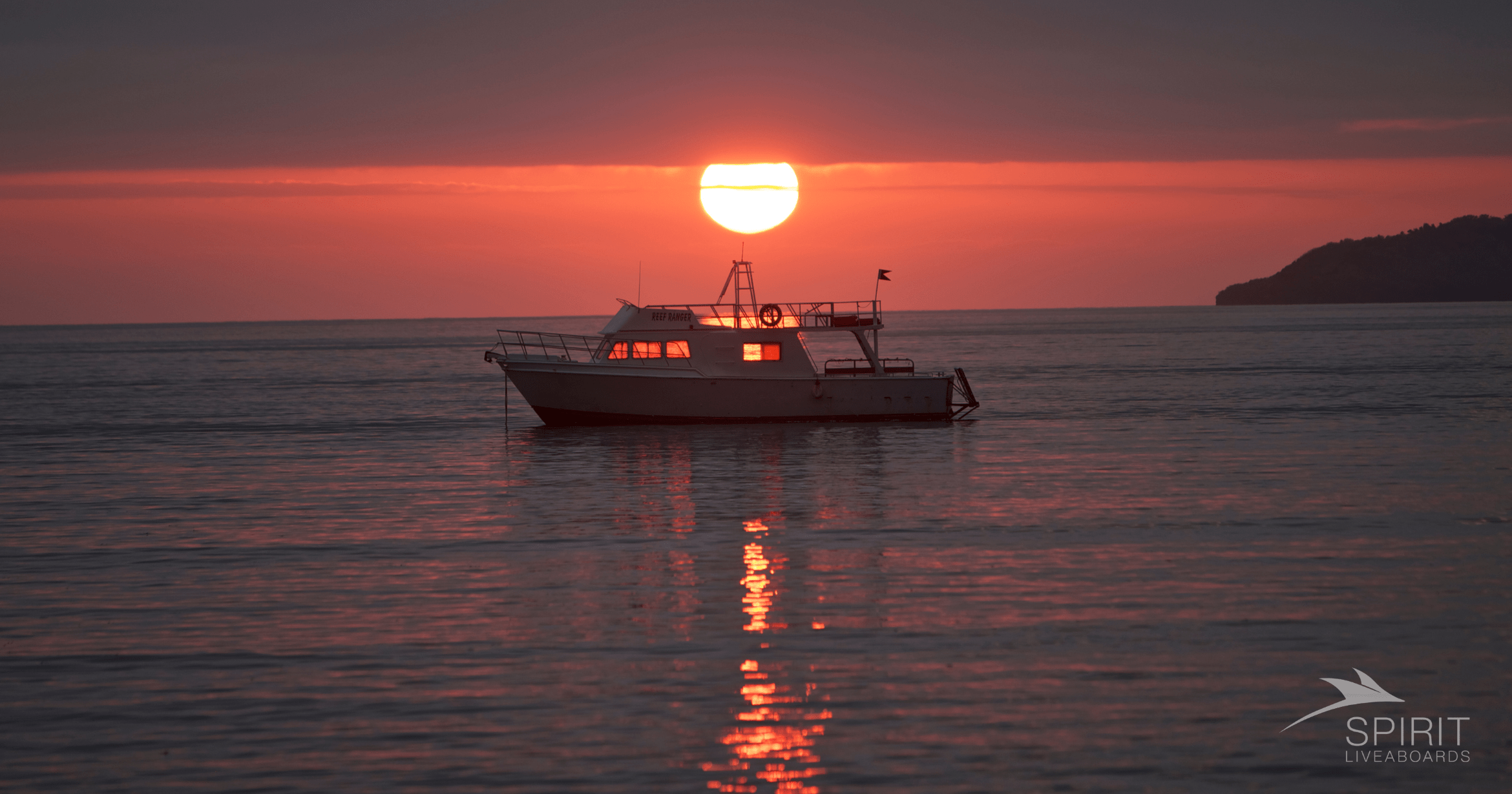 Enchanting Night Dives in the Maldives: Fluo Scuba Adventures