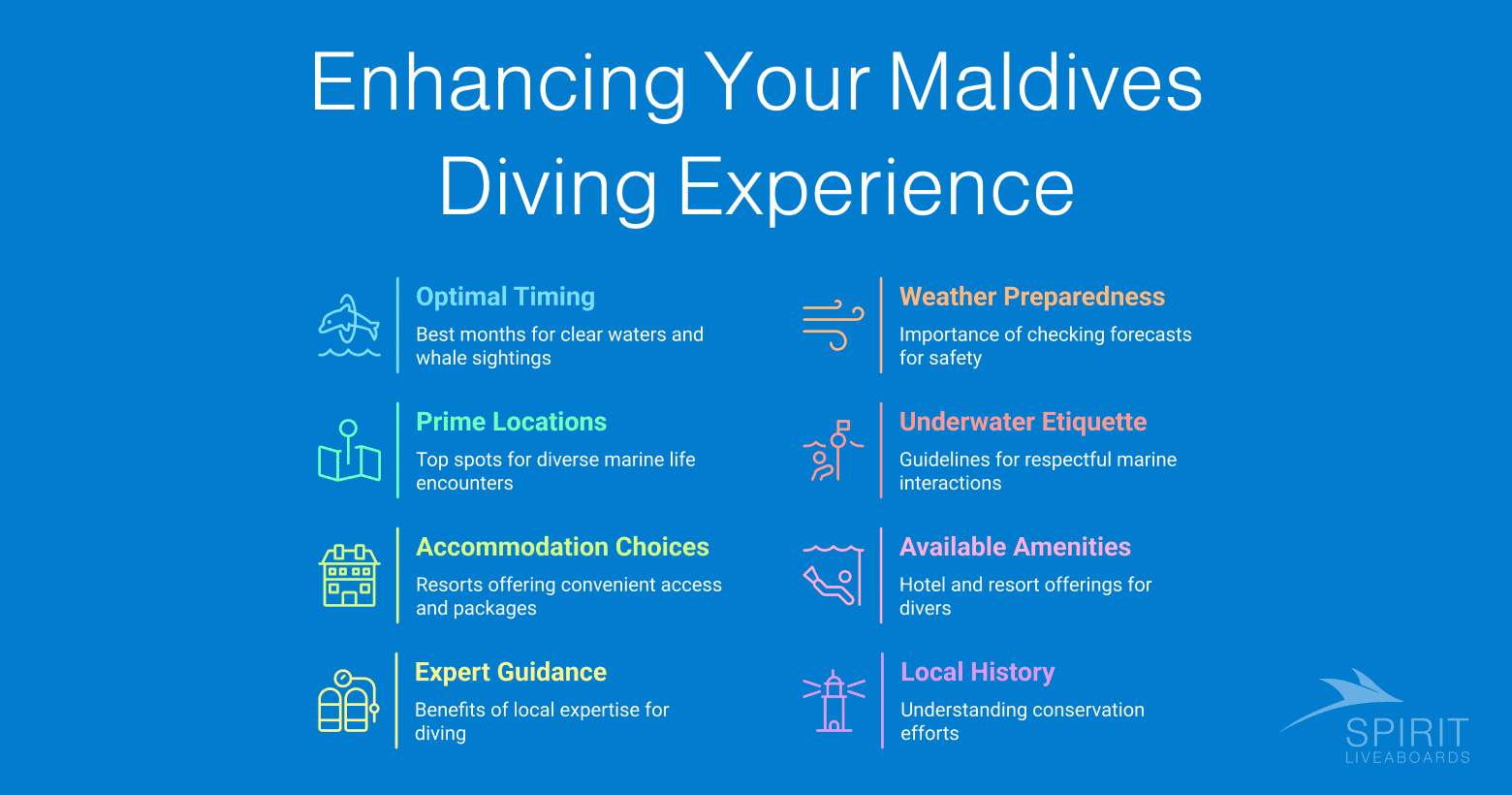 Tips for enhancing your Maldives diving experience, covering optimal timing, prime locations, and more.
