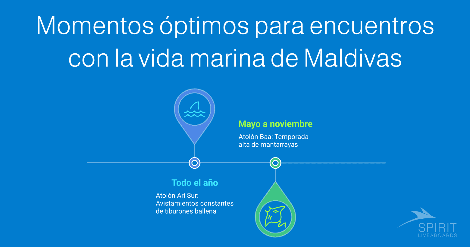 Momentos óptimos para encuentros con la vida marina de Maldivas: Avistamientos de tiburones ballena durante todo el año en el Atolón Ari Sur y temporada alta de mantarrayas de mayo a noviembre en el Atolón Baa.  