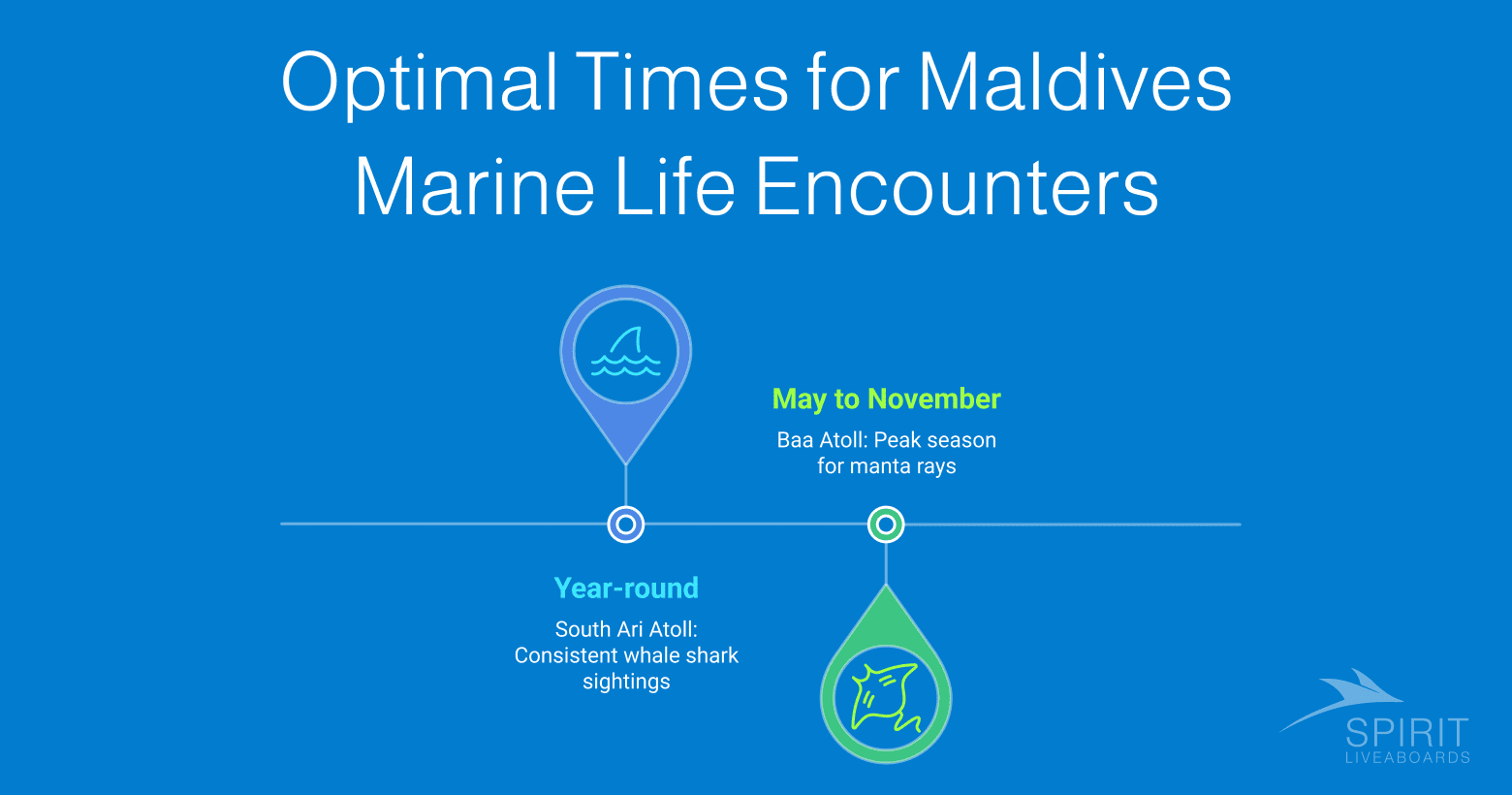 Optimal times for Maldives marine life encounters, showing year-round whale shark sightings in South Ari Atoll and peak manta ray season in Baa Atoll from May to November.
