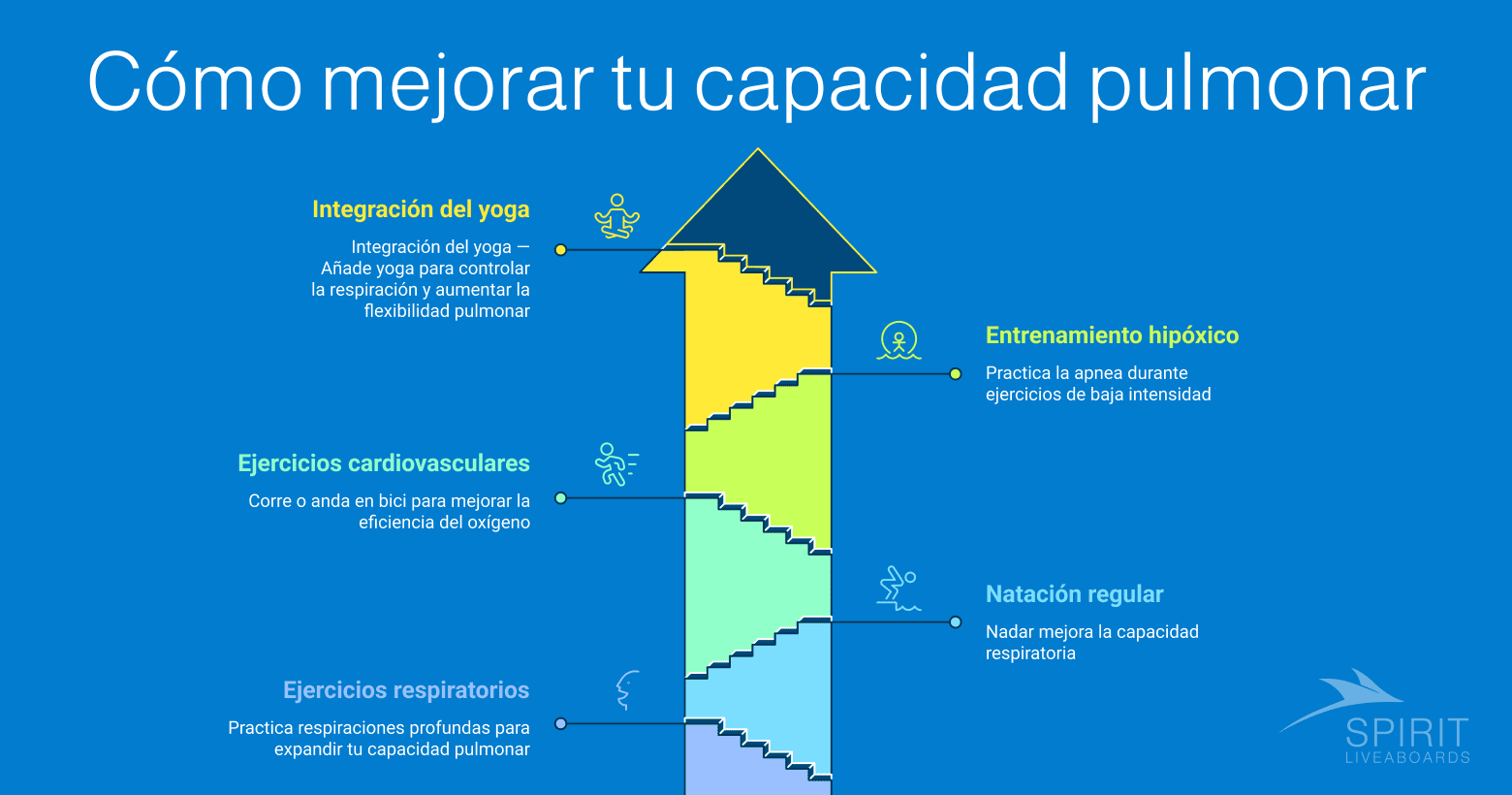 Una infografía con el título "Cómo practicar la respiración diafragmática" que muestra un diagrama de flujo circular con instrucciones paso a paso: encontrar un lugar tranquilo, sentarse o tumbarse, inhalar profundamente, exhalar lentamente, repetir y concentrarse, y aplicar en el agua.