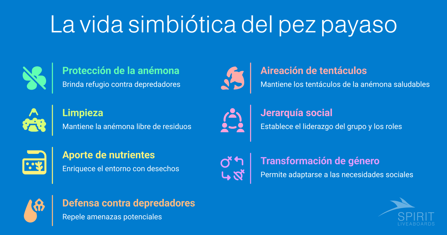 Infografía titulada "La vida simbiótica del pez payaso", que detalla Protección de la anémona, Limpieza, Aporte de nutrientes, Defensa contra depredadores, Aireación de tentáculos, Jerarquía social y Transformación de género.  