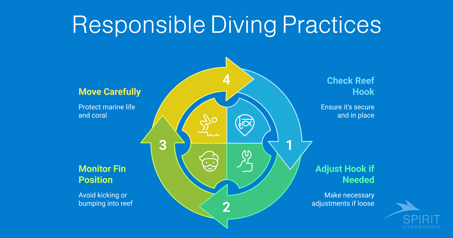 Four responsible diving practices: check reef hook, adjust if needed, monitor fin position, move carefully.
