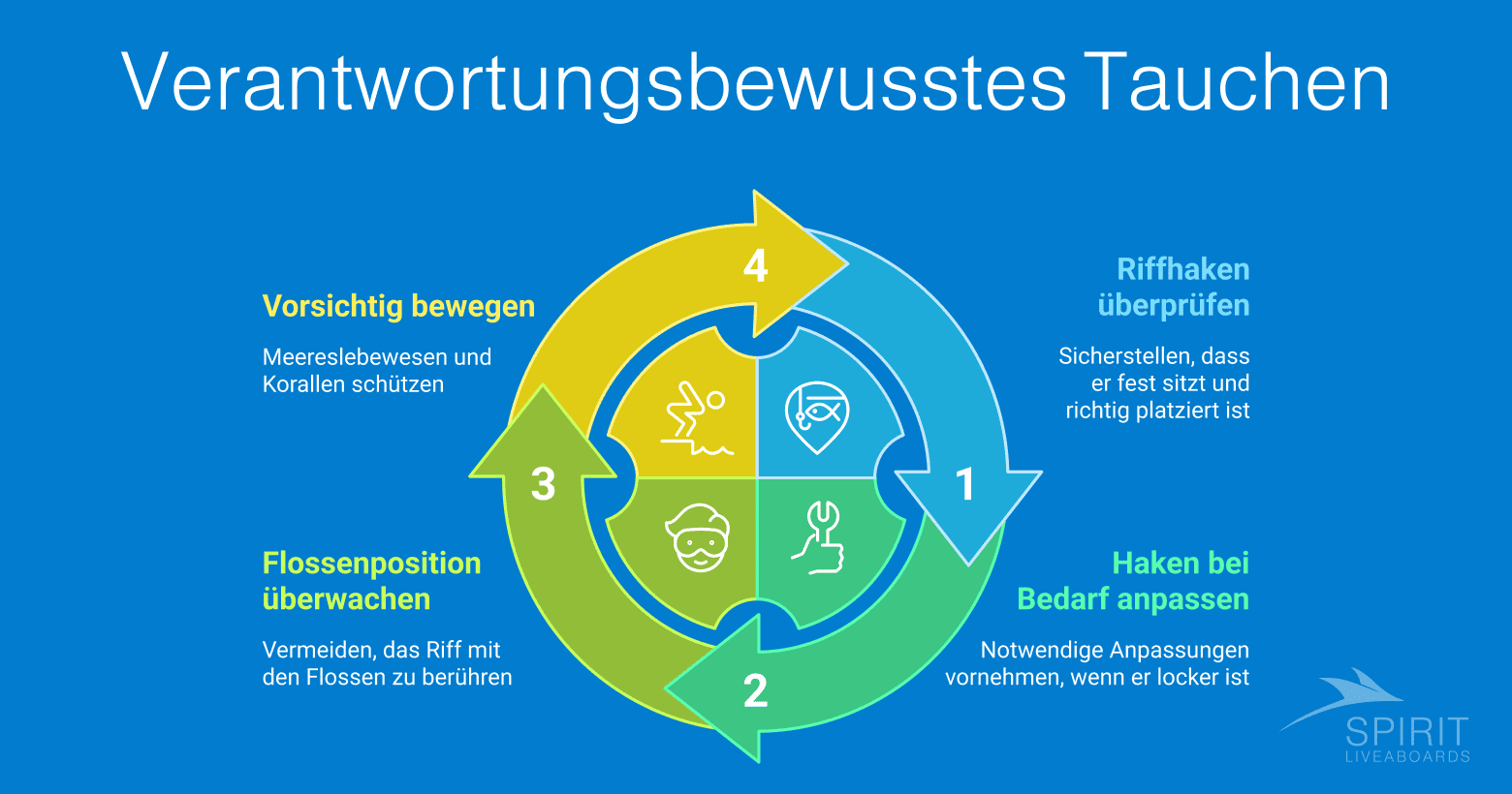 Vier verantwortungsbewusste Tauchpraktiken: Riffhaken überprüfen, Haken bei Bedarf anpassen, Flossenposition überwachen, vorsichtig bewegen.