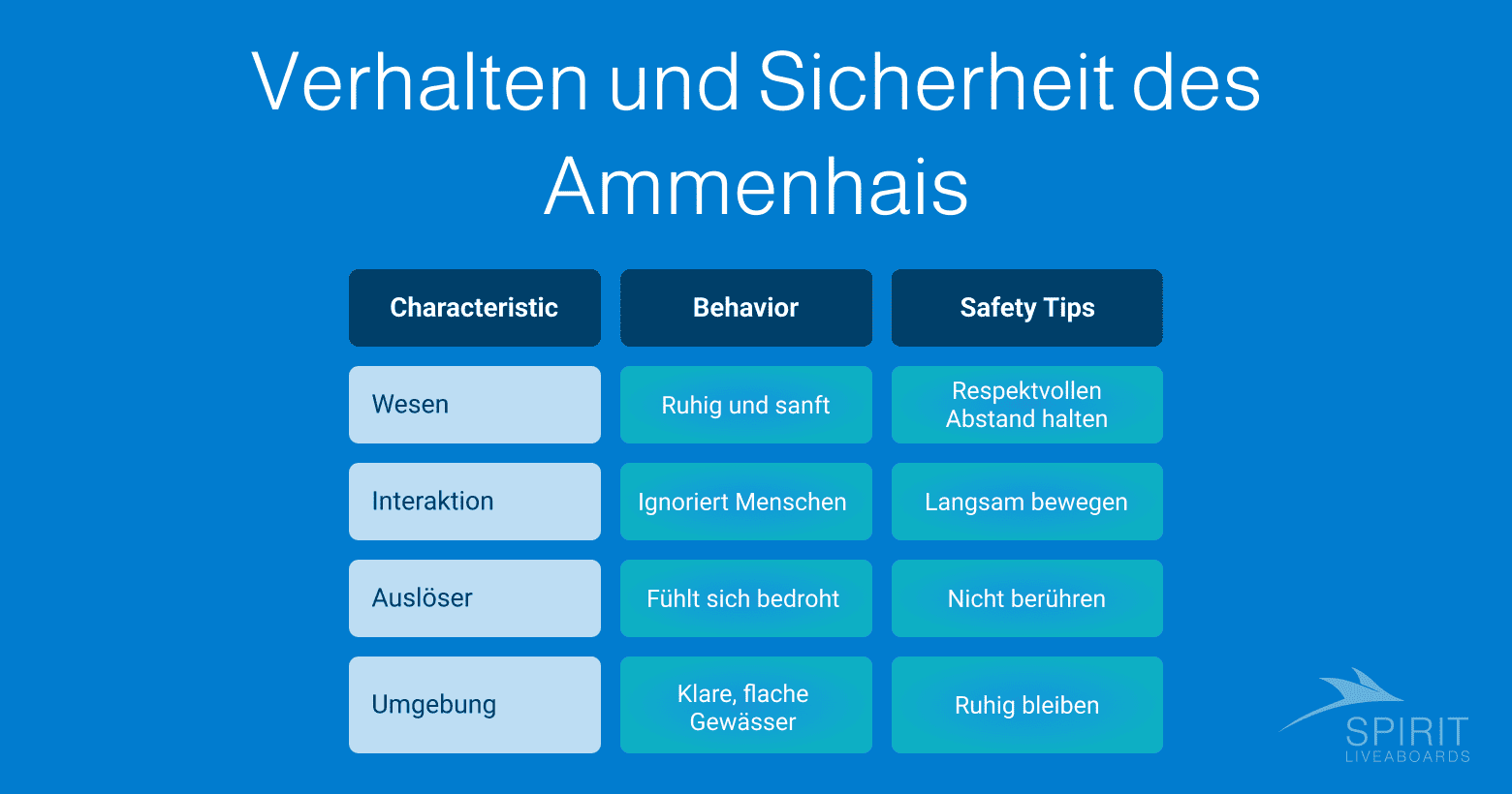 Eine Tabelle mit Informationen zum Verhalten und zur Sicherheit im Umgang mit Ammenhaien, einschließlich Charakteristika, Verhalten, Auslöser und Sicherheitstipps in deutscher Sprache.