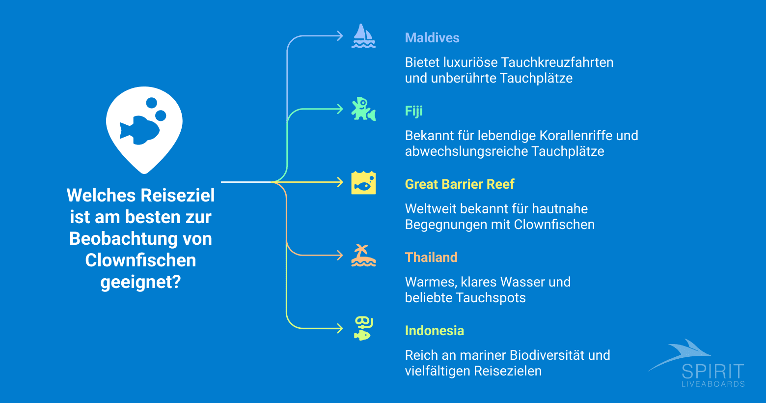 Infografik mit dem Titel "Welches Reiseziel ist am besten zur Beobachtung von Clownfischen geeignet?" mit einer Auflistung der Malediven, Fidschi, des Great Barrier Reef, Thailands und Indonesiens sowie Beschreibungen ihrer Tauchmöglichkeiten.