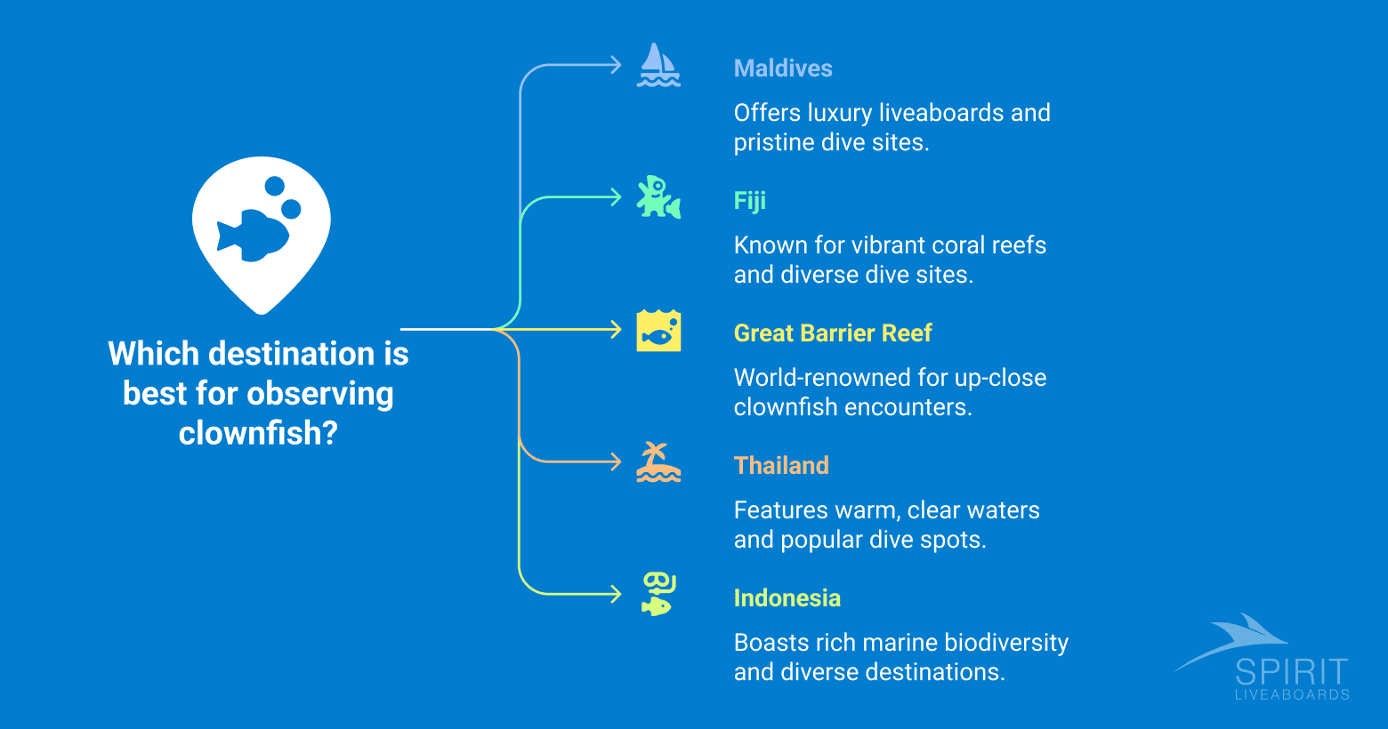Infographic titled "Which destination is best for observing clownfish?" listing Maldives, Fiji, Great Barrier Reef, Thailand, and Indonesia with descriptions of their diving features.  
