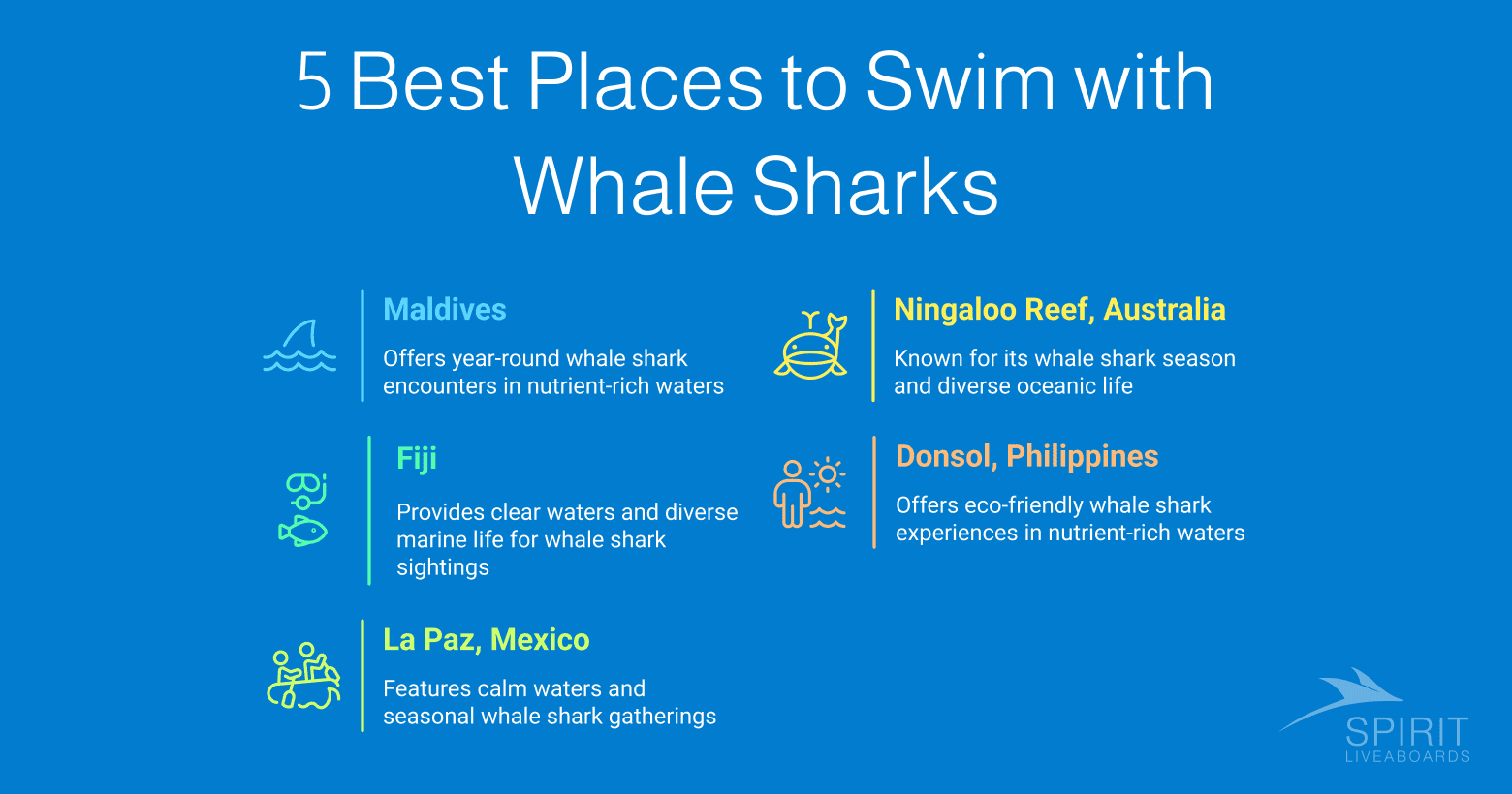 Infographic listing the 5 best places to swim with whale sharks: Maldives (year-round), Ningaloo Reef Australia (seasonal), Fiji (clear waters), Donsol Philippines (eco-friendly), and La Paz Mexico (seasonal gatherings).