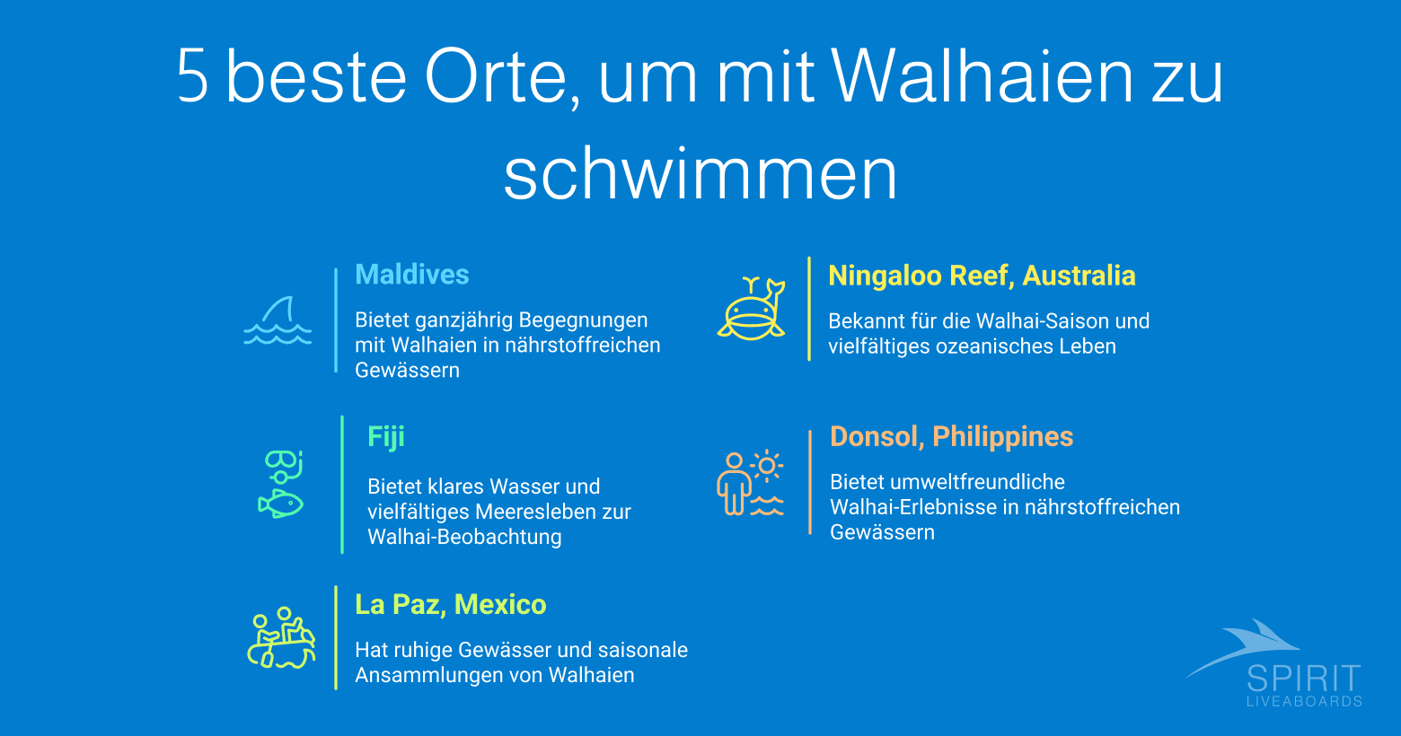 Eine Infografik mit dem Titel "5 beste Orte, um mit Walhaien zu schwimmen" und Beschreibungen für die Malediven, Ningaloo Reef (Australien), Fidschi, Donsol (Philippinen) und La Paz (Mexiko).