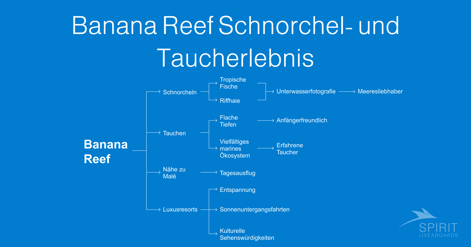 Diagramm der Banana Reef Schnorchel- und Taucherlebnisse.