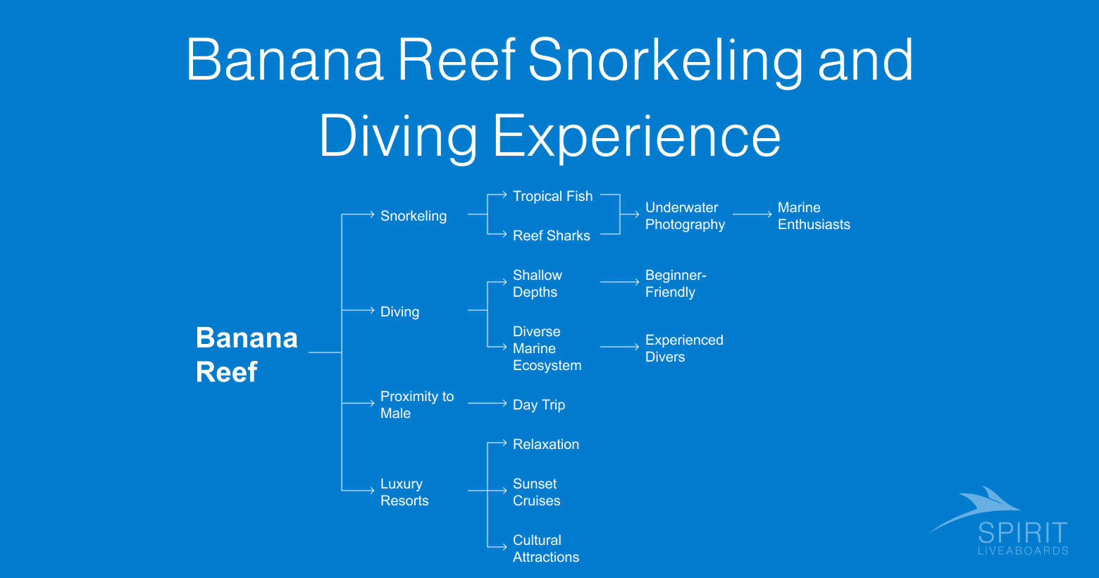Diagram outlining the Banana Reef snorkeling and diving experience.