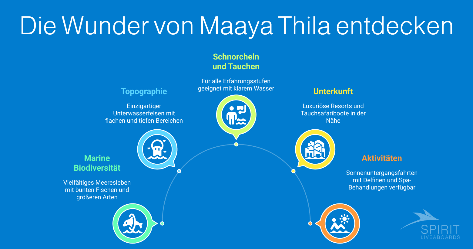 Die Wunder von Maaya Thila entdecken: Topographie, Meeresbiodiversität, Schnorcheln, Tauchen, Unterkunft und Aktivitäten.  