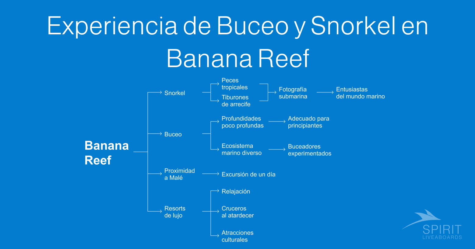 Diagrama de la experiencia de buceo y snorkel en Banana Reef.