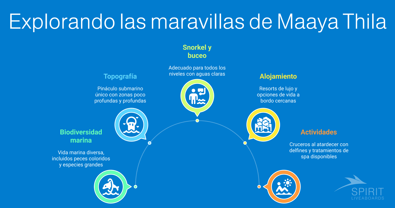 Explorando las maravillas de Maaya Thila: topografía, vida marina, esnórquel, buceo, alojamiento y actividades.