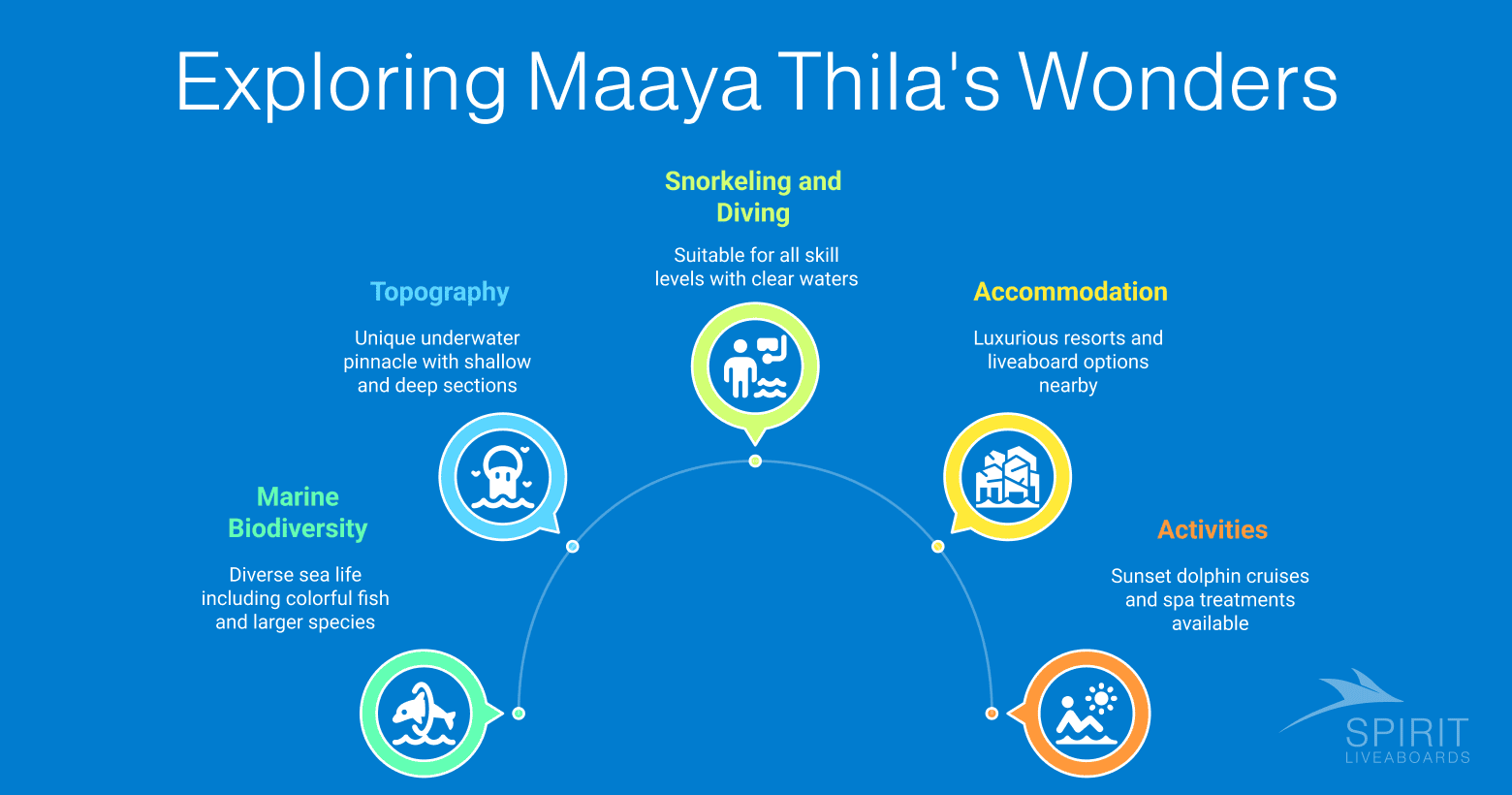 Maaya Thila's Wonders: Exploring topography, marine life, diving, accommodation, and activities.