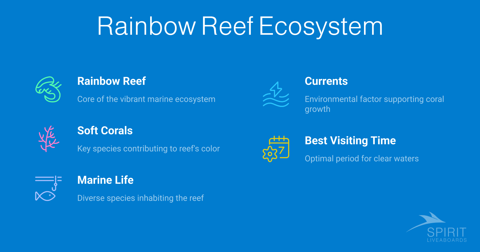 An infographic outlining key aspects of the Rainbow Reef Ecosystem, including its role as a vibrant marine ecosystem, the importance of soft corals and currents, diverse marine life, and the best visiting time for clear waters.