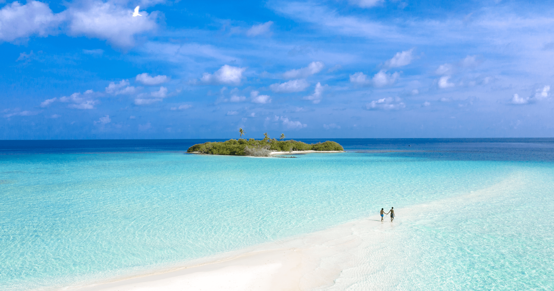 Best Time to Scuba Dive in the Maldives: A Season Guide