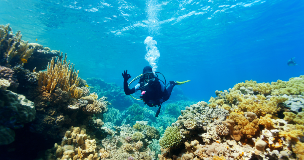 Scuba Gear Packages: How to Choose the Best Equipment for Your Dive Vacation
