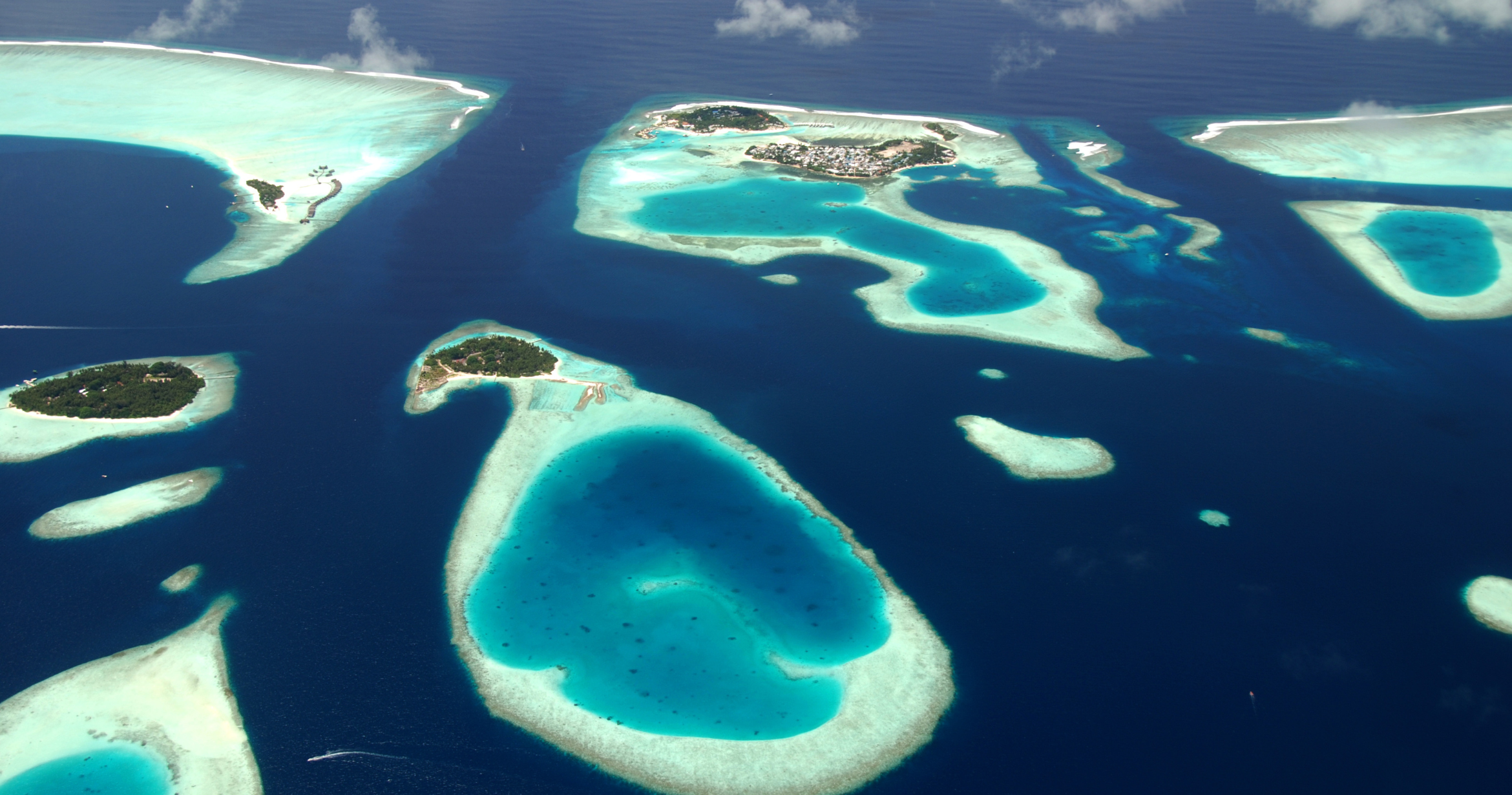 Top 10 Scuba Dive Destinations for Beginners: Best Places to Dive