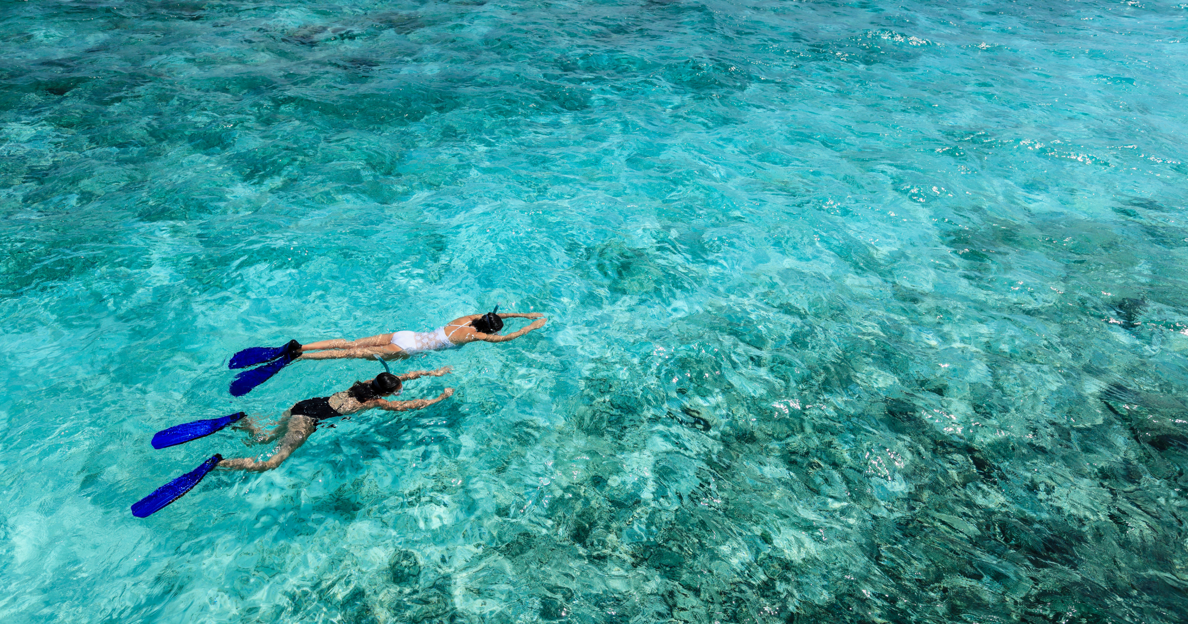 Top 5 Maldives Snorkeling Spots: Explore Vibrant Coral Reefs
