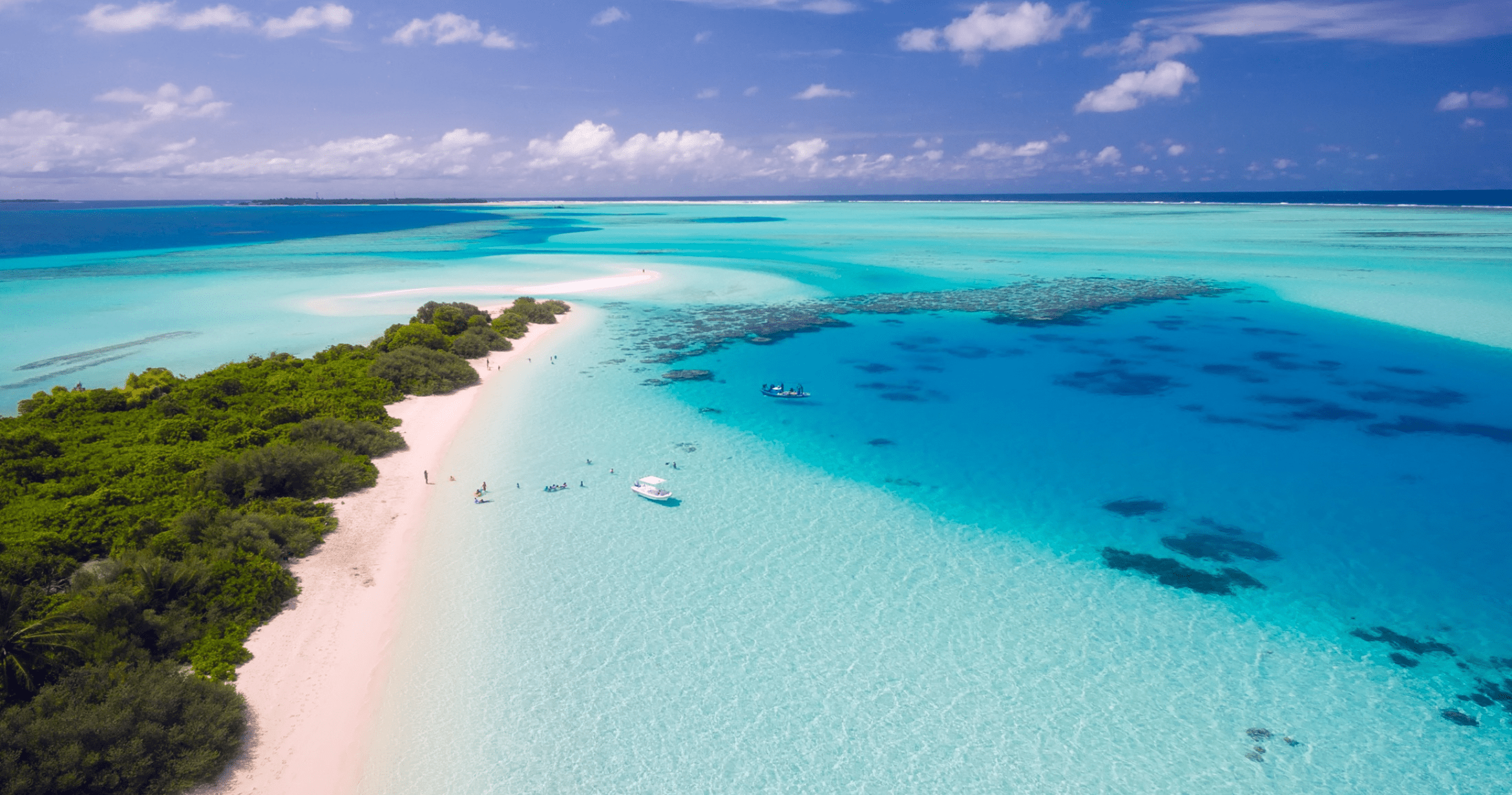 How to Choose the Best Maldives Liveaboard for Your Dive Trip