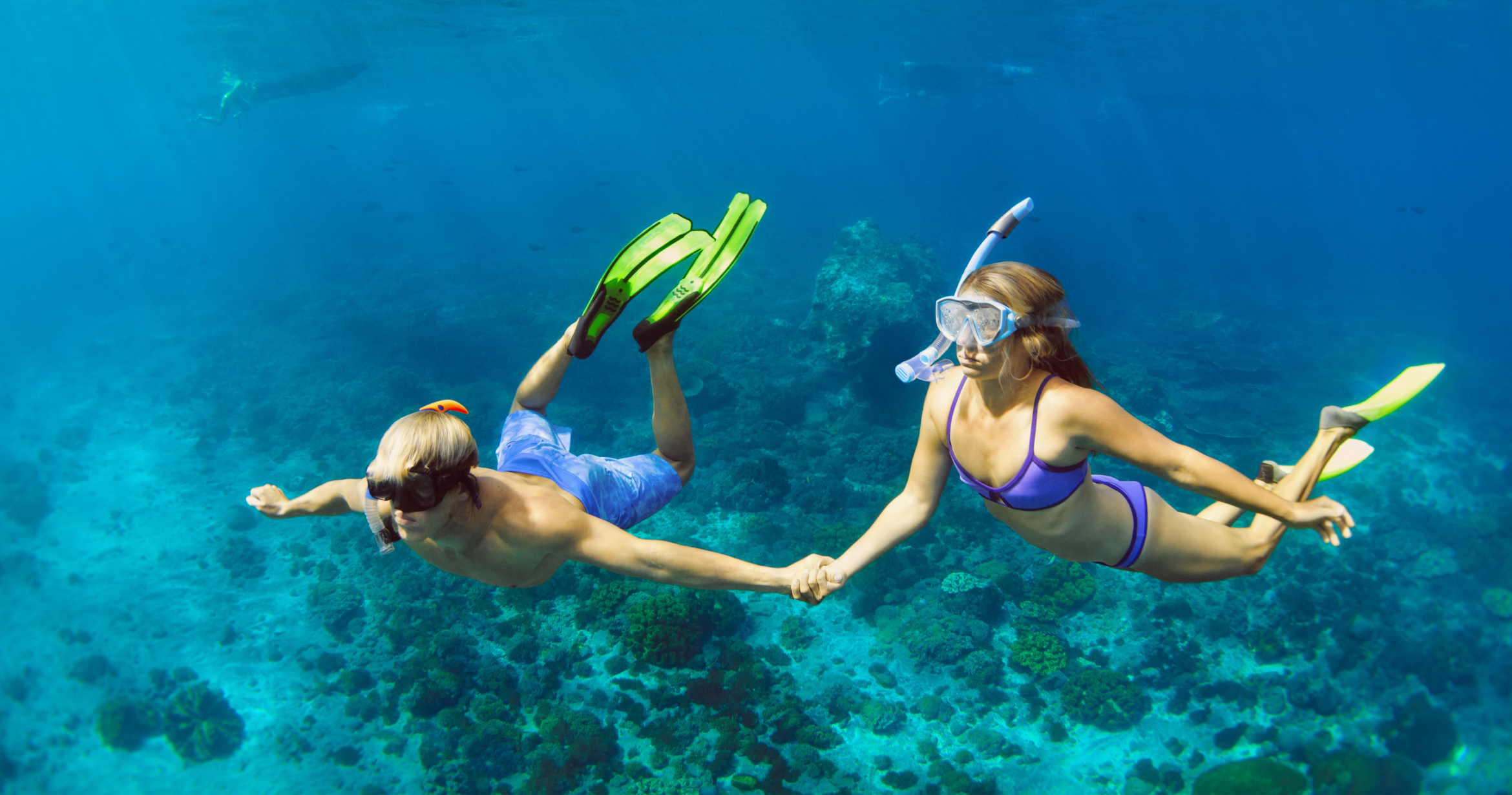 Which Liveaboard Is Considered the Best for Dive Enthusiasts?